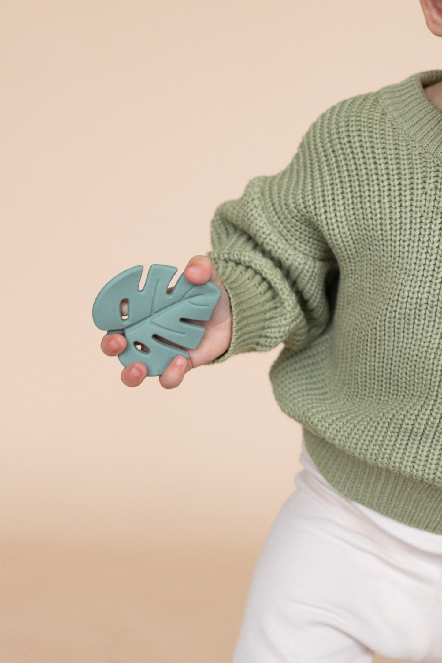 Monstera Leaf Teethers
